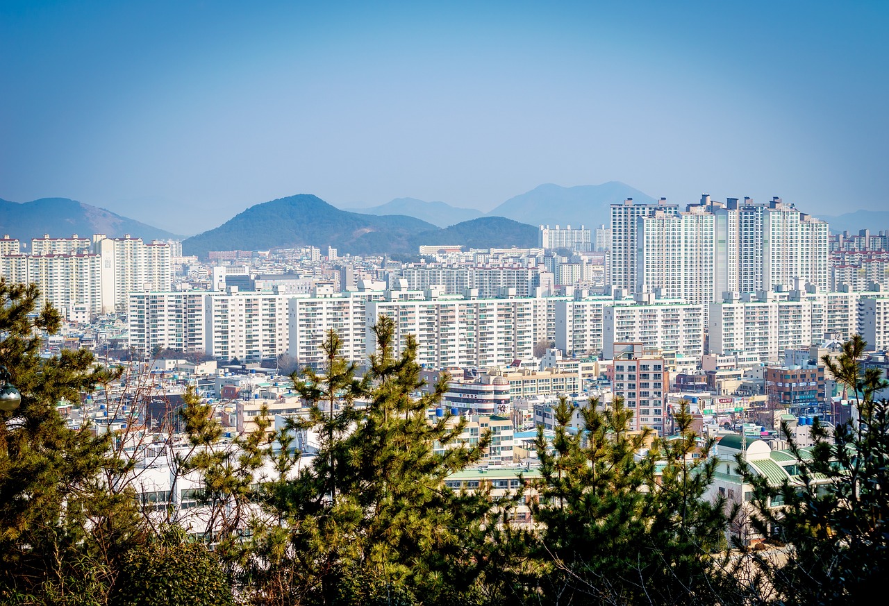 浅夏忆梦 第36页