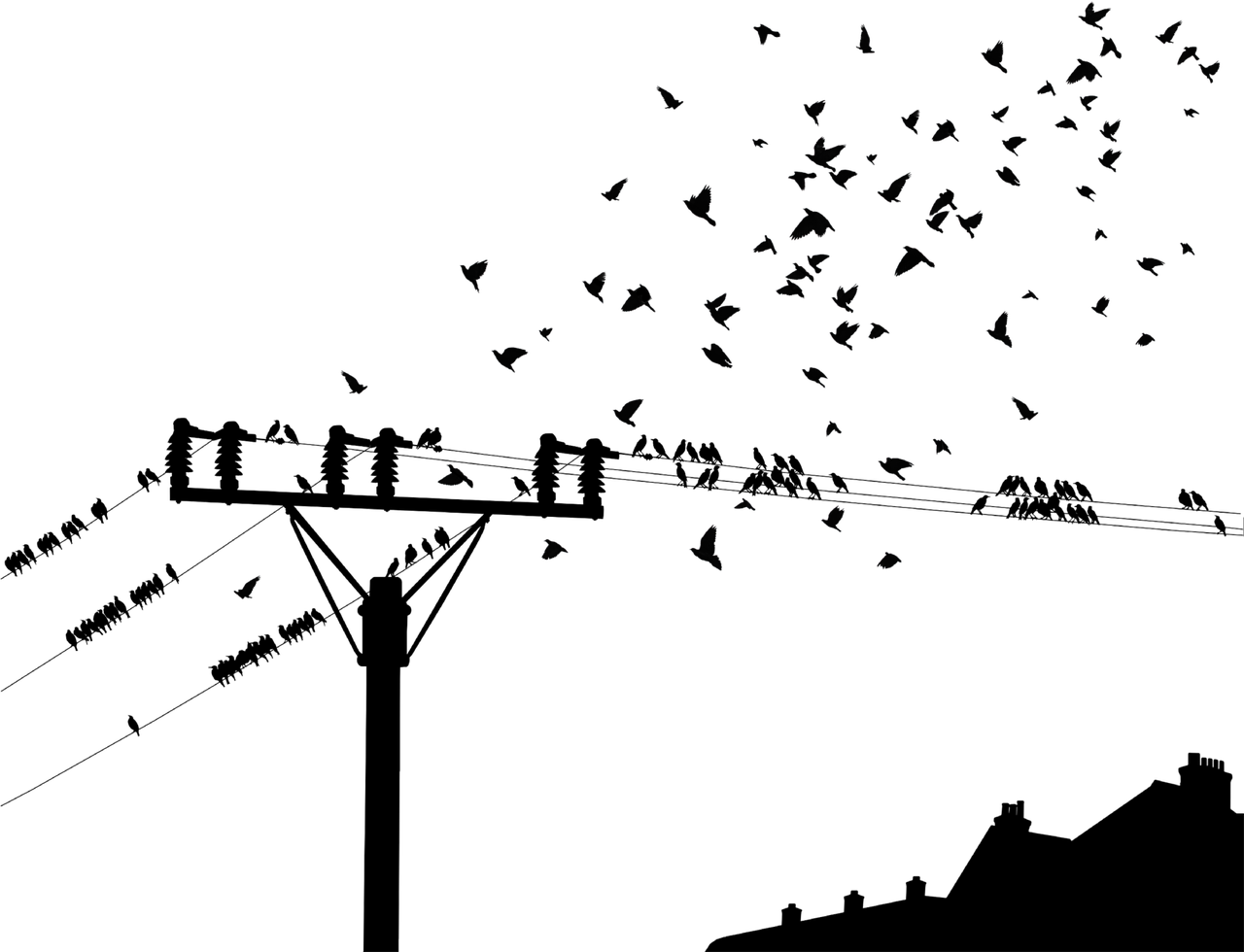 100%最准的一肖,决策信息解释_无缆版8.62.2