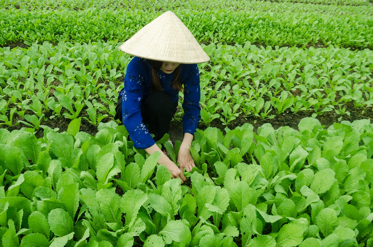 南通永兴福里最新房价及动态分析